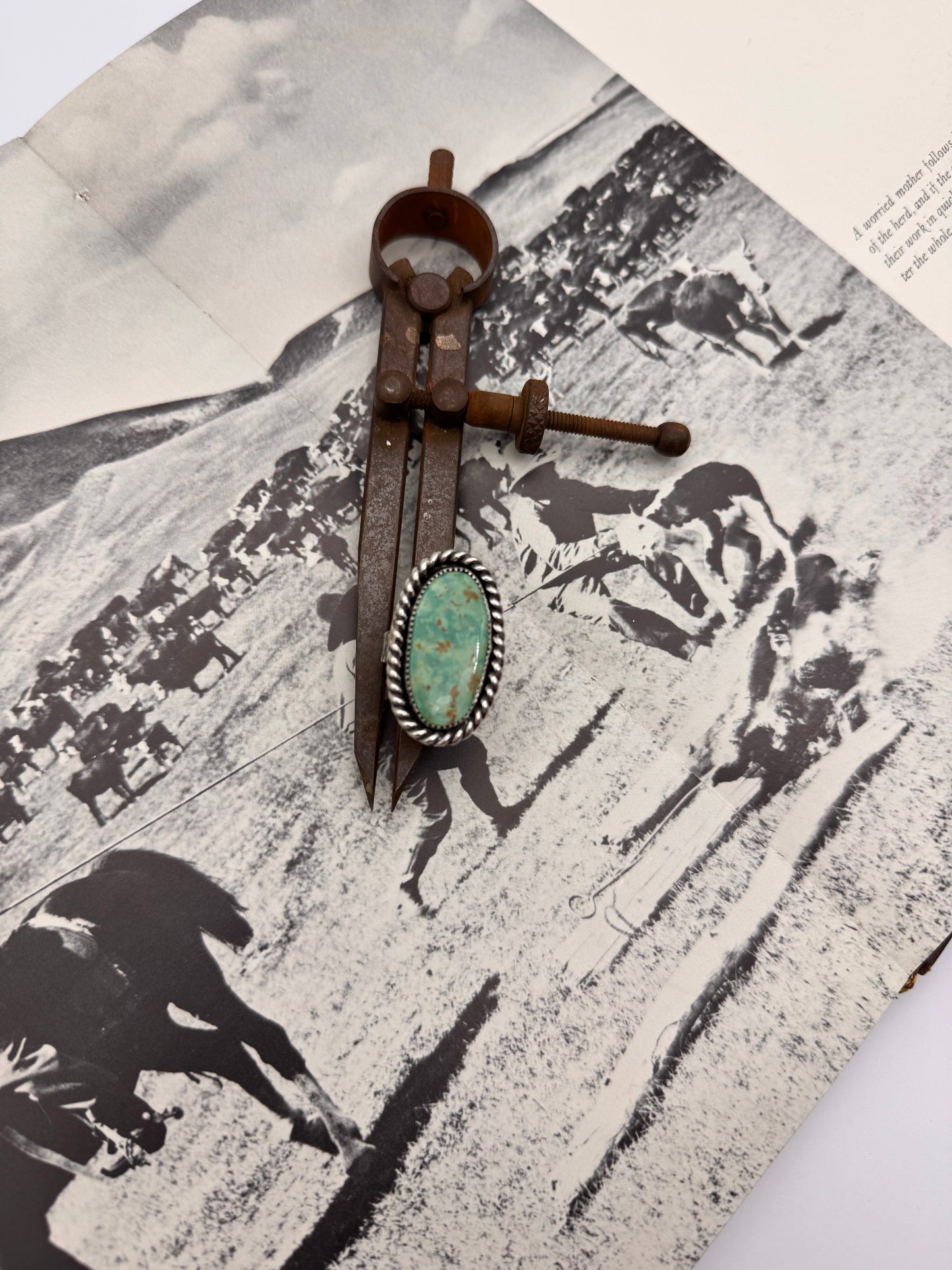 Large Oval Turquoise Ring