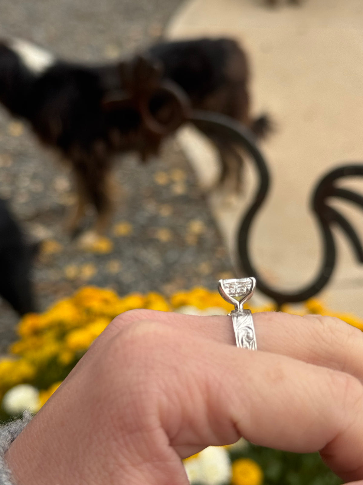 Ring Revamp!